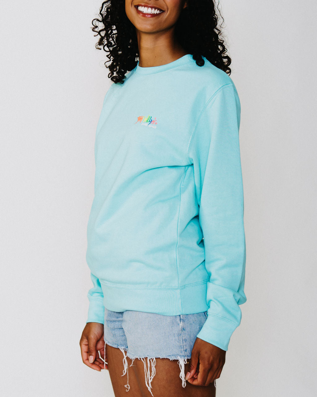 Fat Willy's Surf Shack Newquay Adult Sweatshirt Peppermint